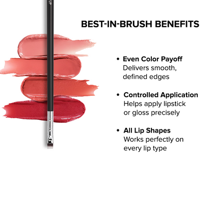 Academic Lip Brush - FX048