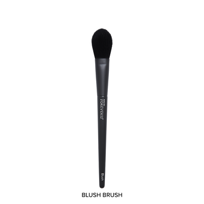 Academic 12 Pcs Brush Set With 1 Sponge