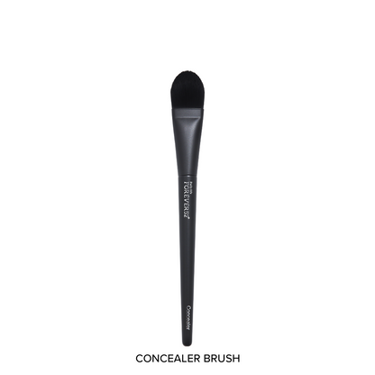 Academic 12 Pcs Brush Set With 1 Sponge